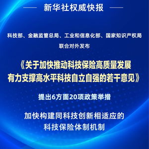四部门联合发力，以二十项举措推动科技保险高质量发展——信息技术咨询服务迎来新契机